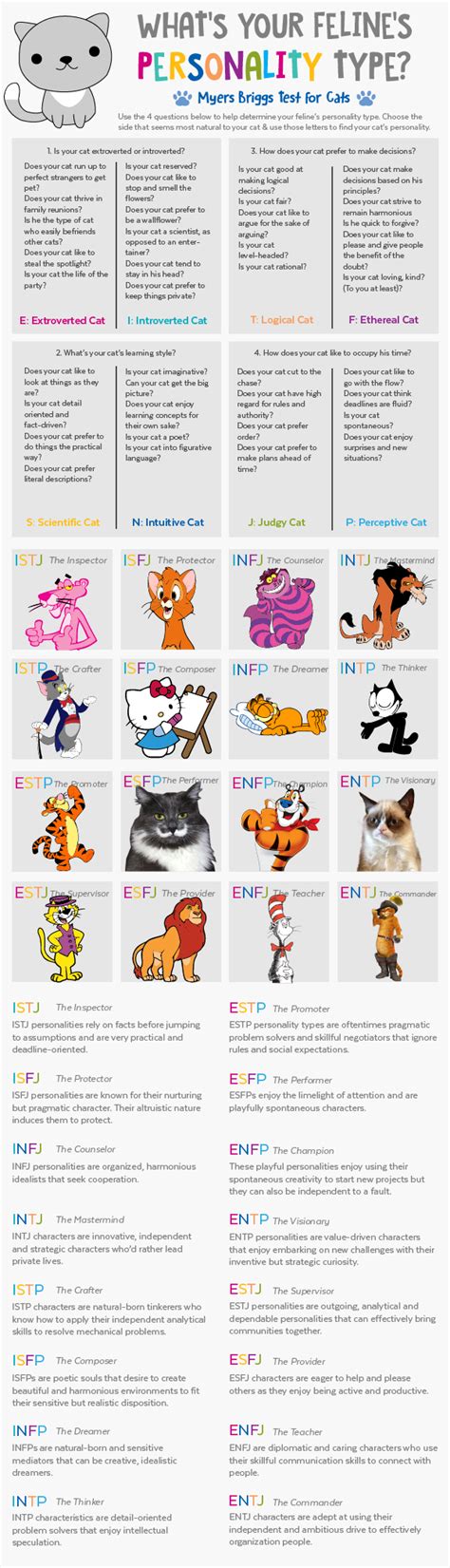 cat mbti test korean|cat personality test online free.